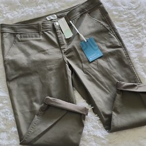 Market & Spruce Tori Capri Size 14P